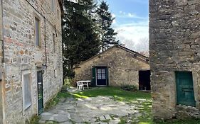 SO MAGIC - La casa nel bosco